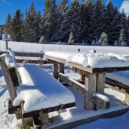 Wohlfuehl-Appartement Bergsee Family - Am Wildsee - Sup Und Schlitten For Free Seefeld in Tirol Luaran gambar