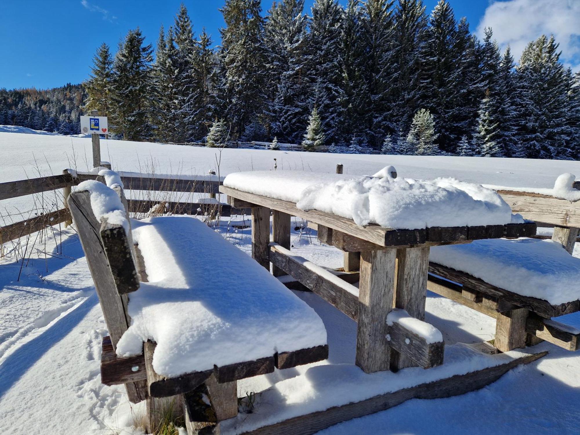 Wohlfuehl-Appartement Bergsee Family - Am Wildsee - Sup Und Schlitten For Free Seefeld in Tirol Luaran gambar