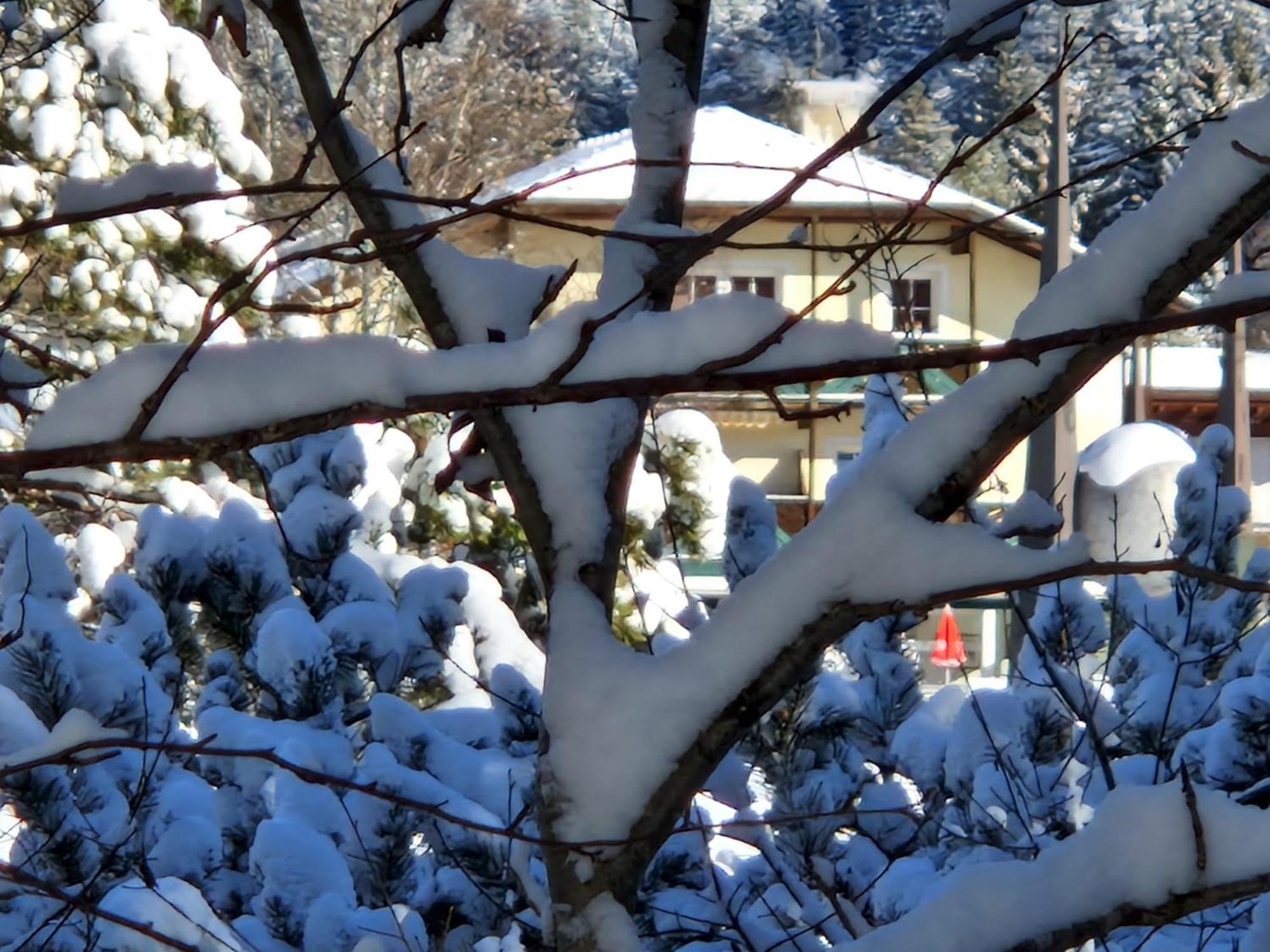 Wohlfuehl-Appartement Bergsee Family - Am Wildsee - Sup Und Schlitten For Free Seefeld in Tirol Luaran gambar