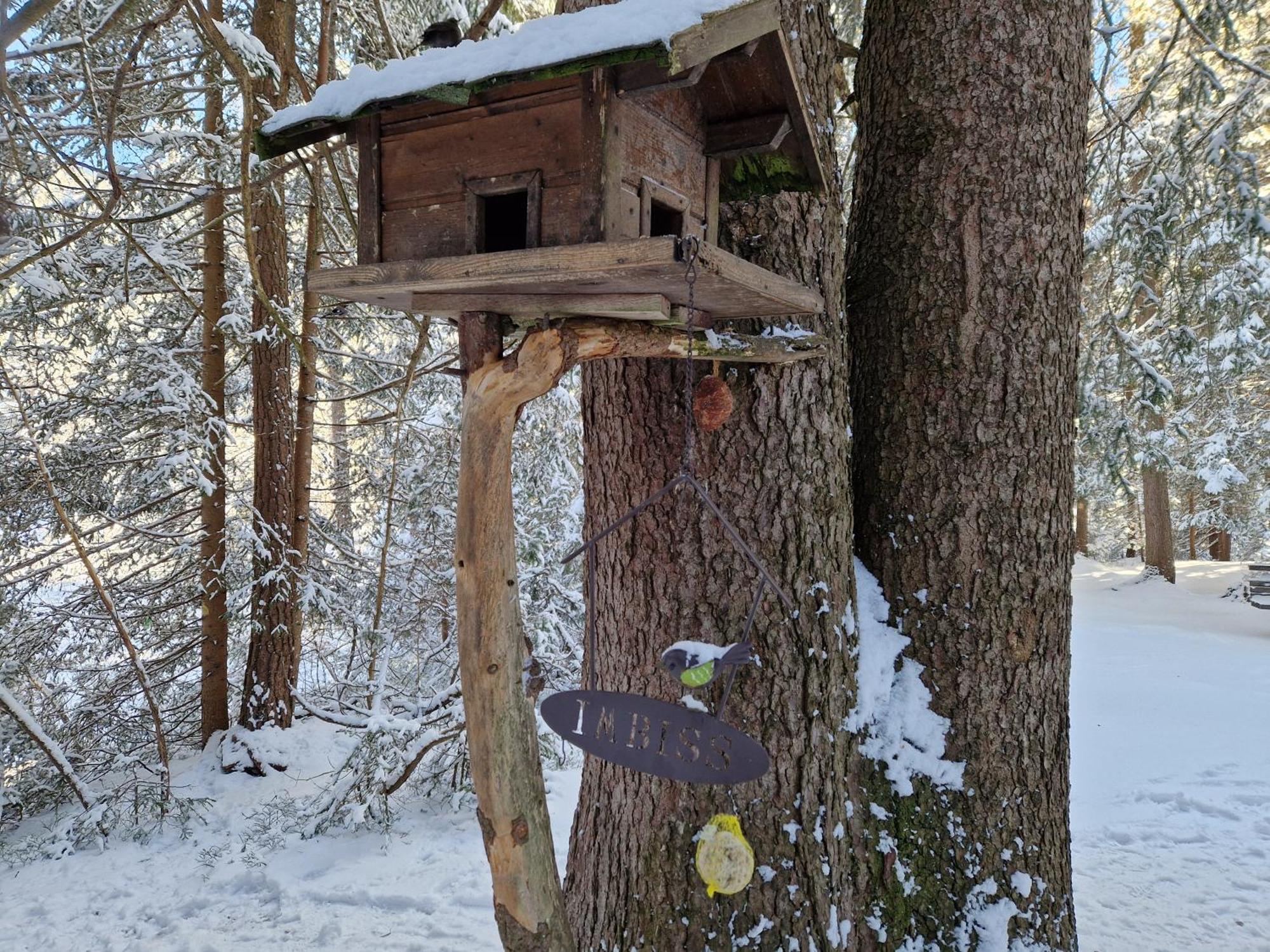 Wohlfuehl-Appartement Bergsee Family - Am Wildsee - Sup Und Schlitten For Free Seefeld in Tirol Luaran gambar